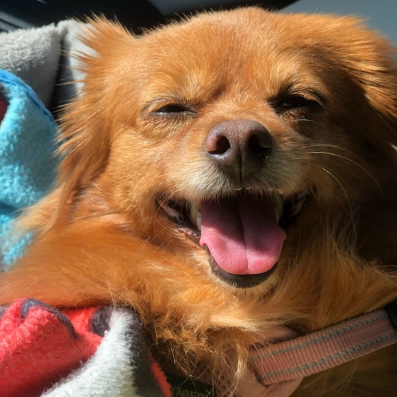 Meet your Posher, Michelle - Picture 5 of 6